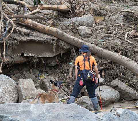 Hujan lebat berintensitas tinggi selama tiga hari tanpa henti telah mengakibatkan bencana banjir dan tanah longsor parah melanda wilayah Yecheon, Provinsi Gyeongsang Utara, Korea Selatan.