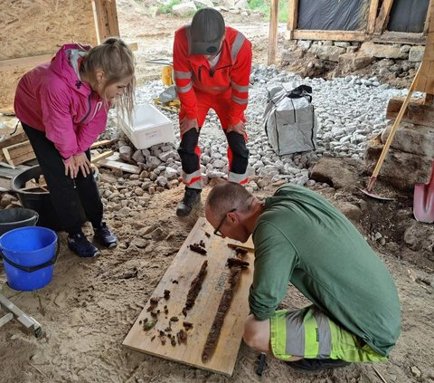 Pemilik rumah Oddbjorn Holum Heiland mulai memakai penggali mekanik untuk meggali halaman belakang rumahnya. Dia dan istrinya Anne berencana ingin merenovasi rumah mereka, kata Science Norway.