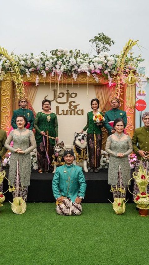 Fakta Pernikahan Anjing Viral Jojo dan Luna Pakai Adat Jawa, Habiskan Lebih dari Rp200 Juta