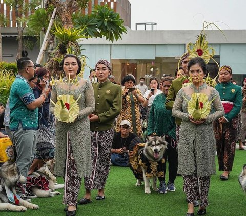 Fakta Pernikahan Anjing Viral Jojo dan Luna Pakai Adat Jawa, Habiskan Lebih dari Rp200 Juta