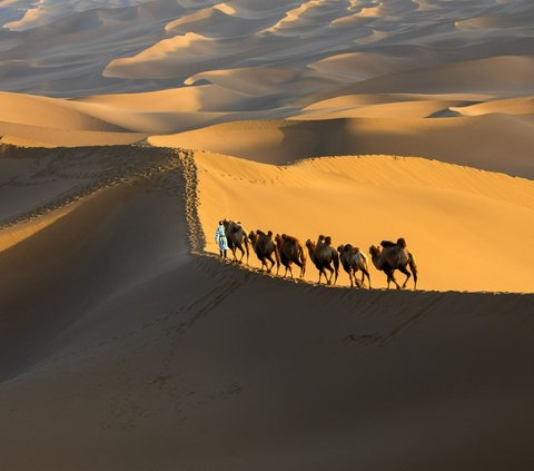 Pada 1902, Inggris kembali menggambar garis perbatasan Sudan-Mesir. Dari gambar itu Bir Tawil kemudian masuk dalam wilayah Mesir karena daerah itu biasanya dilintasi suku Ababda yang berbasis di Aswan, sebelah selatan Mesir.