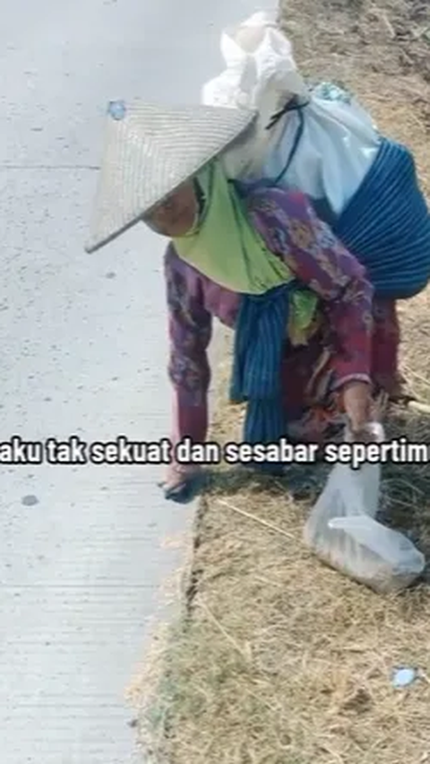 Bikin Haru, Nenek Ini Punguti Gabah Jatuh di Pinggir Jalan Sebut di Rumah Sendiri