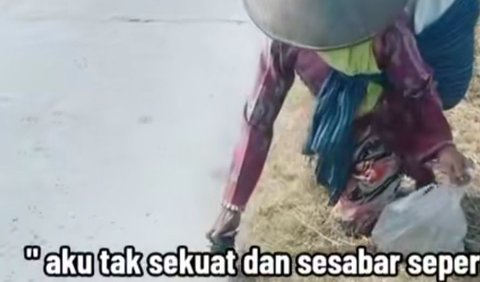 Video berdurasi beberapa detik ini memperlihat seorang nenek yang memakai caping dan membawa kantong plastik. Ia tampak memungut beberapa gabah yang terjatuh di jalan raya. Nenek tersebut terlihat memasukkan gabah ke kantong plastik.