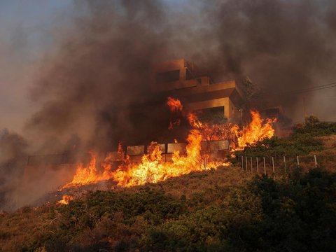 FOTO: Gelombang Panas Ekstrem Picu Kebakaran Hutan di Yunani, Api Meluas ke Rumah Warga