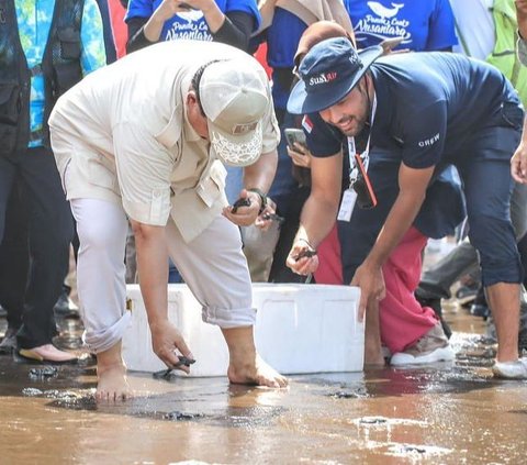 Prabowo menghadiri agenda pelestarian lingkungan dengan melepas sekelompok tukik bersama Pandu Laut Nusantara. <br />Terlihat wanita yang pernah menjabat sebagai Menteri Kelautan dan Perikanan mendampingi Prabowo melepas tukik ke laut.