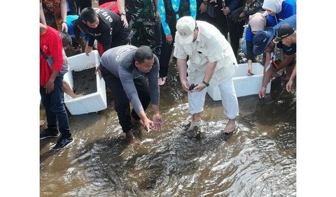 Selain melepas tukik, Prabowo juga ikut aksi bersih-bersih Pantai Pangandaran. Momen ini juga diikuti oleh masyarakat sekitar.