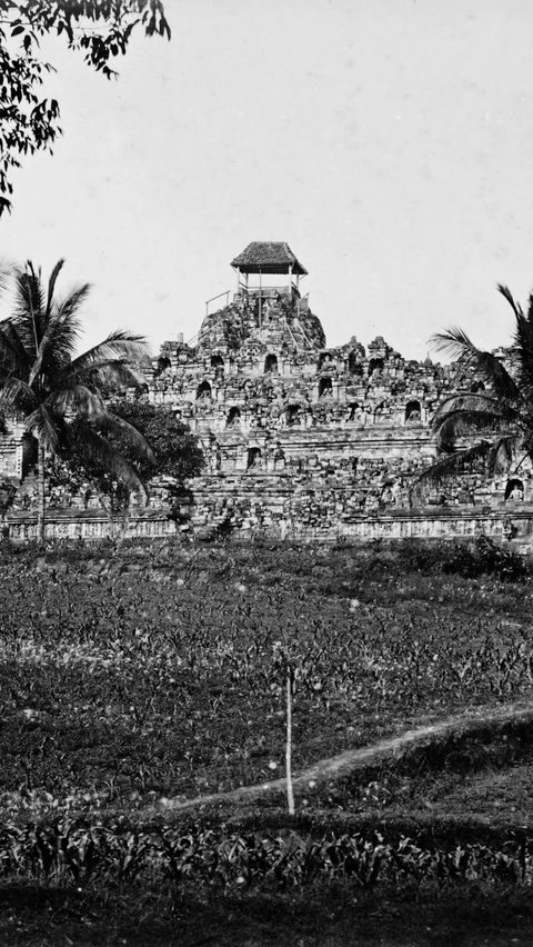 Foto lama Candi Borobudur sebelum dipugar beredar di media sosial dan sukses mencuri perhatian publik.