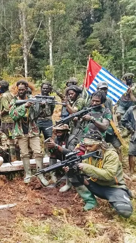 Usai Serang Koramil, Kini KKB di Papua Tengah Tembak Pesawat