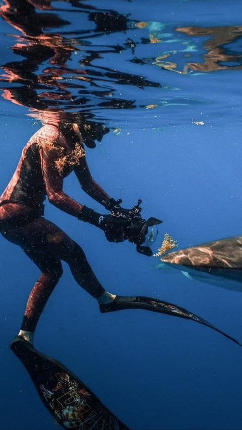 Kemudian Rosie Moore juga kerap mengunggah fotonya saat menyelam berpetualang daalam laut dan bersama hiu.