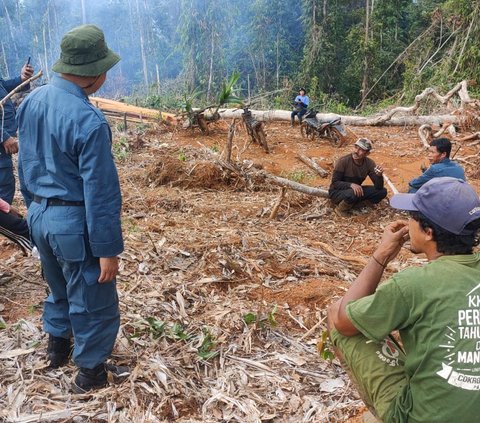 Penyidik Balai Penegak Hukum Kementerian Lingkungan Hidup dan Kehutanan (KLHK) menangkap Kepala Desa Mantadulu inisial AA (49) dan seorang tokoh masyarakat inisial SR (45). Keduanya telah ditetapkan sebagai tersangka kasus perambahan hutan konservasi untuk perkebunan sawit.