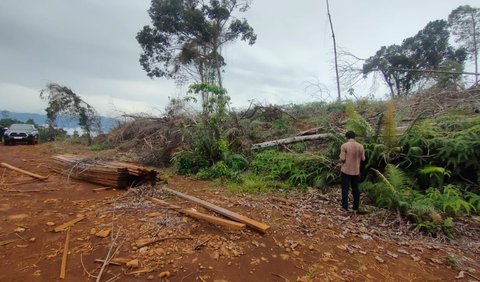 Kepala Balai Gakkum KLHK Wilayah Sulawesi, Aswin Bangun mengatakan kedua tersangka melakukan perambahan hutan koservasi cagar alam Furuhumpenai.