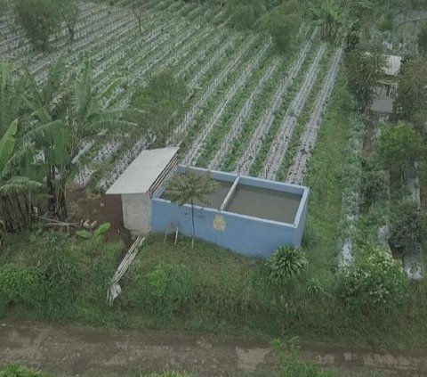 Antisipasi Dampak Fenomena Elnino, Mentan SYL Gelar Rakor di Tanah Jawara