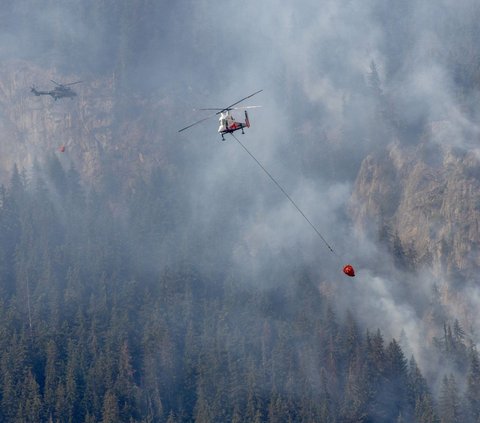 FOTO: Dampak Gelombang Panas Kian Meluas, Hutan Pegunungan di Swiss yang Identik Beriklim Sejuk Terbakar