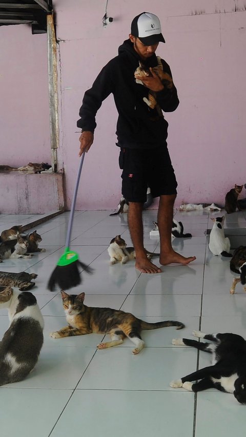 Seperti diketahui Rumah Singgah Clow (RSC) saat ini telah menampung lebih dari 1.500 ekor kucing dan 20 ekor anjing jalanan.