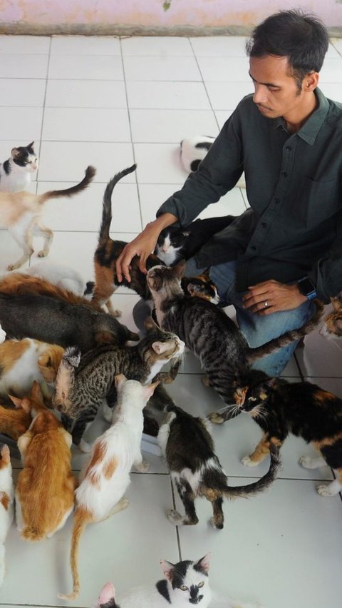 Setelah musibah kebakaran (12/7/2023) lalu, sekelompok orang yang cukup prihatin dengan kondisi hewan di RSC datang ke tempat tersebut. Mereka mengucap syukur karena sebagian besar kucing baik-baik saja.