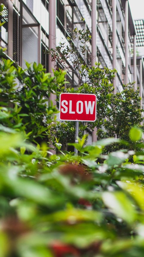 Sebenarnya apa sih gaya hidup slow living itu? Melansir dari Liputan6.com dan laman Slowlivingldn, slow living memiliki manfaat untuk membuat hidup jadi lebih sehat.