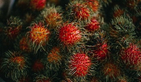 2. Asinan Rambutan