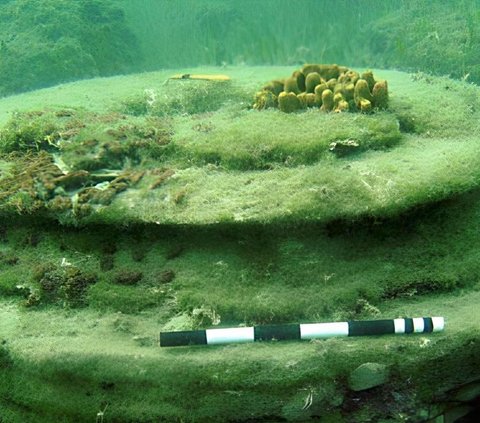 Seeing the Mysterious 'City' Under the Sea, Not Made by Humans