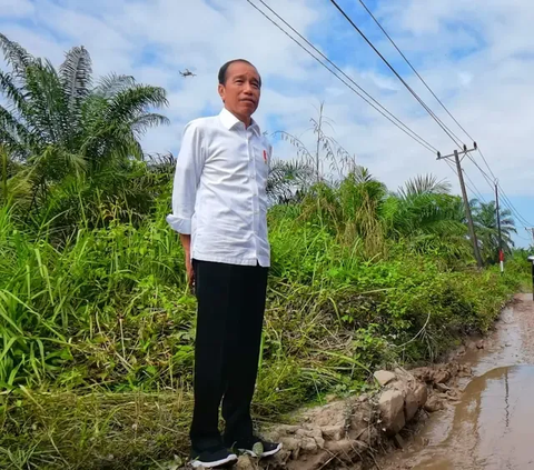 Jokowi: Jalan Rusak di Lampung, Jambi, Sumut Mulai Diperbaiki