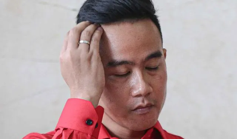 Gibran menjelaskan kronologi pertemuan dengan Prabowo. Gibran mengatakan, Sekjen PDIP Hasto Kristiyanto dan Ketua Bidang Kehormatan PDIP Komarudin Watubun memahami posisi putra Presiden Joko Widodo itu.