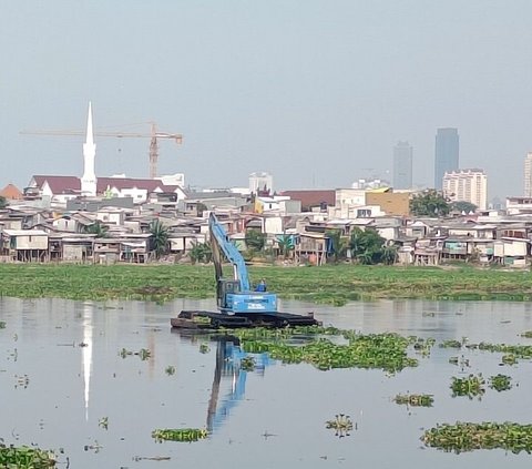 Waduk Pluit, Penjaringan, Jakarta Utara dipenuhi tanaman eceng gondok. Bahkan aroma tidak sedap tercium dari tumpukan eceng gondok yang berserakan.