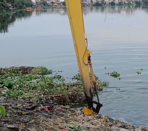 Dari pantauan Merdeka.com, tanaman eceng gondok memenuhi sebagian waduk warisan Jokowi yang luasnya 80 hektare.