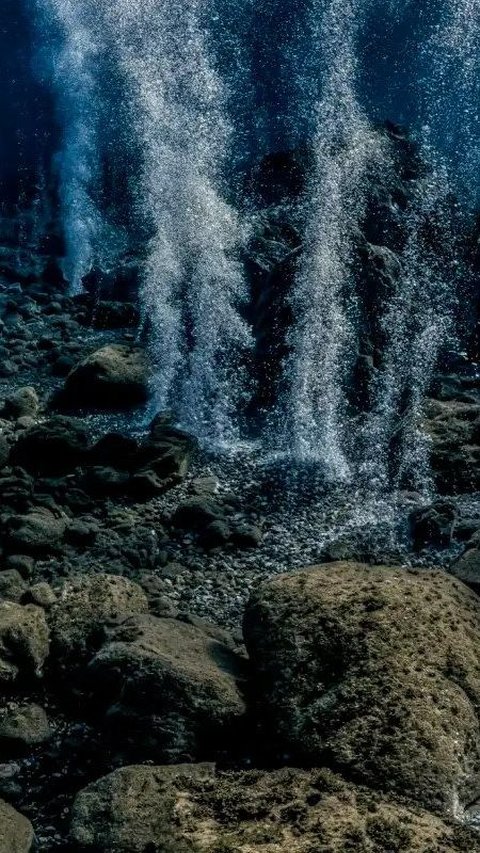 Ilmuwan Temukan Gunung Api Kuno Masih Aktif di Bawah Laut, Dipenuhi Telur Raksasa