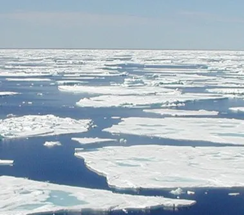 Apa yang Sebenarnya Ada di Bawah Lapisan Es Kutub?