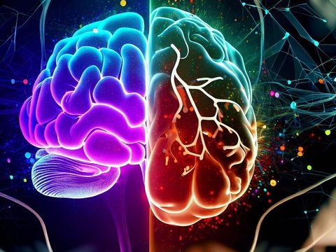 7 Latihan Sederhana untuk Mengaktifkan Otak Kanan dan Otak Kiri