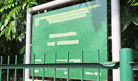 Lokasi hutan kota ini berada di seberang kampus Universitas Kristen Indonesia (UKI) dan terdapat halte tempat bus kota seperti Transjabodetabek menarik penumpang.