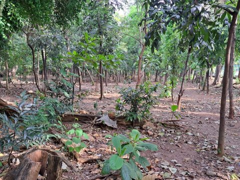 Melihat Hutan Kota Jakarta Jadi 'Basecamp' Komunitas LGBT, Kondom dan Miras Berserakan