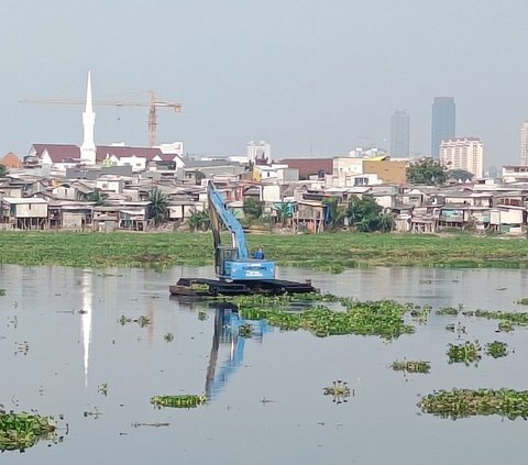 Tanaman liar itu pun nampak tumbuh subur di pinggir-pinggiran tembok. Saking suburnya, nampak tanaman mengambang di tengah-tengah waduk yang menghitam.<br /><br />Tidak hanya itu, dipinggiran-pinggiran waduk juga terdapat sisa tanaman eceng gondok yang telah mengering. Diduga tanaman tersebut sehabis dikeruk.