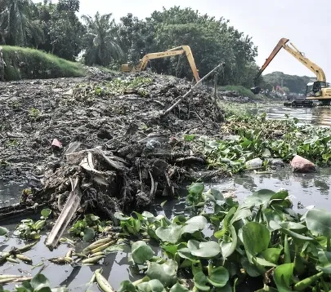 Terlebih pada saat beberapa hari yang lalu. Eceng gondok sempat memenuhi sebagian besar waduk dan menyebabkan aroma tidak sedap.<br /><br />Meskipun demikian, ia tidak mengetahui secara jelas mengapa tanaman eceng gondok sering kali bertumbuhan di tepi-tepi waduk hingga akhirnya tengah-tengah waduk.