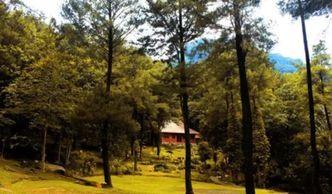 Aktivitas di Taman Wisata Gunung Pancar