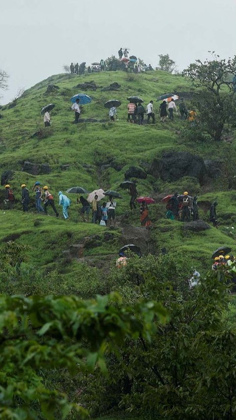 Gelombang panas ekstrem, kebakaran hutan, hujan lebat, dan banjir telah mendatangkan malapetaka di seluruh dunia dalam beberapa hari terakhir. Situasi ini menimbulkan ketakutan baru tentang laju perubahan iklim.