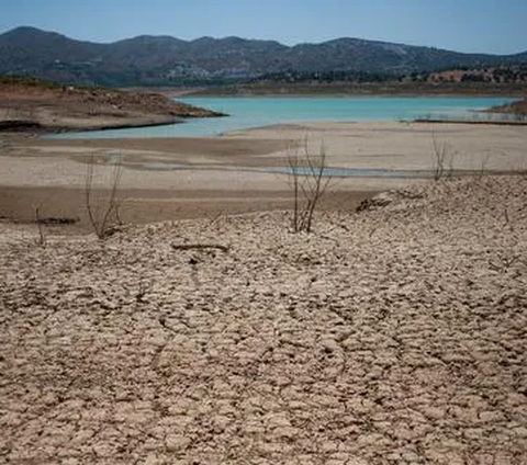 Dampak El Nino Semakin Menguat, Kepala BMKG Beri Peringatan Ini