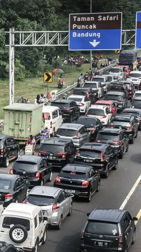 Tol Puncak-Cianjur Berpotensi Lewati Kawasan Rawan Longsor, Ini yang Harus Diperhatikan