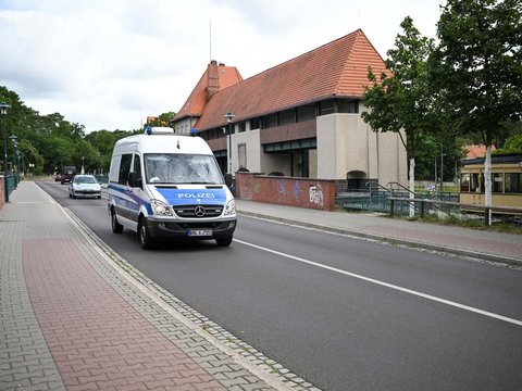 FOTO: Geger Ada Singa Lepas dan Berkeliaran di Jerman, Orang-Orang Diminta Tetap di Rumah