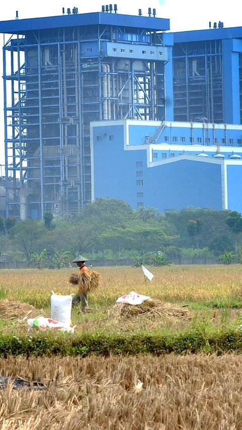 Penelitian: Ini yang Terjadi Jika Indonesia Tanpa PLTU Batu Bara