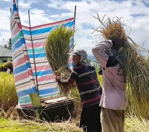 Sejarah Sistem Pembayaran, dari Saling Barter Hingga Hewan Ternak Jadi Uang Komoditas