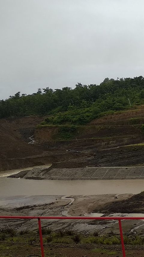 Setelah dikeluarkan sebagai kawasan hutan, oknum mafia tanah mendengar bahwa dalam lokasi tersebut akan dibangun Bendungan Paselloreng.