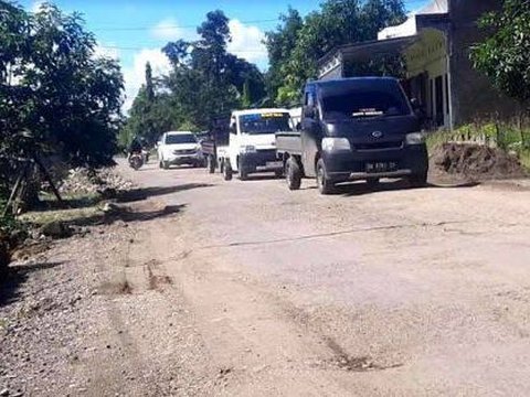 Protes Jalan Rusak, Warga Tanam Pohon Pisang