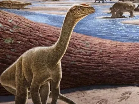 Penelitian Ini Ungkap Dinosaurus Ternyata Punya Bulu, Berikut Faktanya