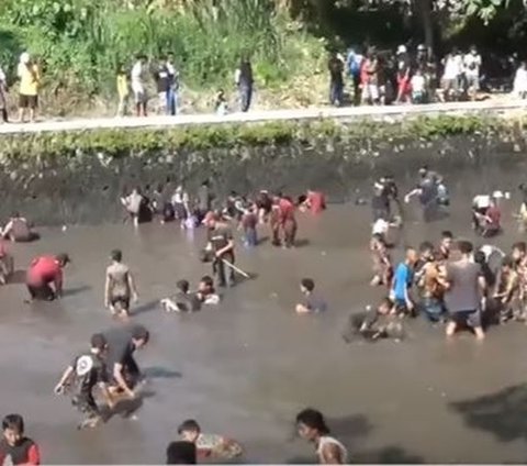 Tradisi Bedah Teteg Cueran di Klaten, Warga Saling Berebut Ikan di Kolam Lumpur