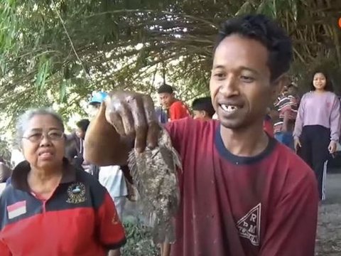 Tradisi Bedah Teteg Cueran di Klaten, Warga Saling Berebut Ikan di Kolam Lumpur