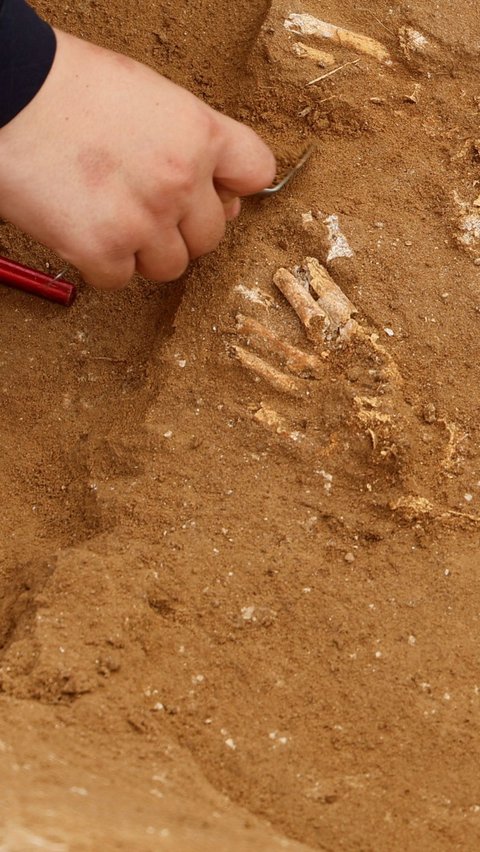 Dalam menggali ini, A'utul dibantu oleh sedikitnya 25 insinyur dan teknisi yang terlibat pada penggalian hari Minggu.  Dia mengatakan, meski cuaca panas, timnya tetap melakukan penggalian makam kuno itu.