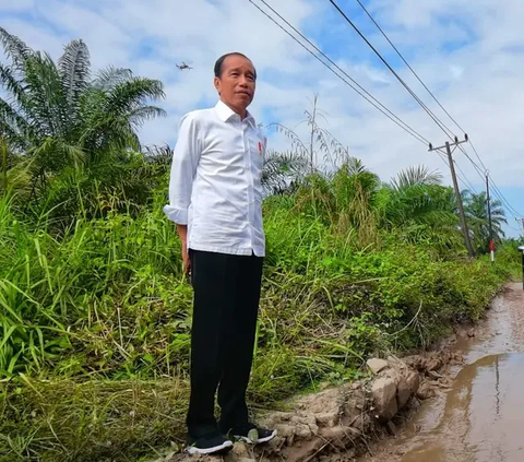 Wanti-Wanti Presiden Jokowi jika Daerah Ingin Bangun Jalan Tol