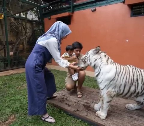 Jadi Sorotan Usai Anak Harimau Peliharaannya Mati, Ini Potret Kebun Binatang Mini Milik Alshad Ahmad