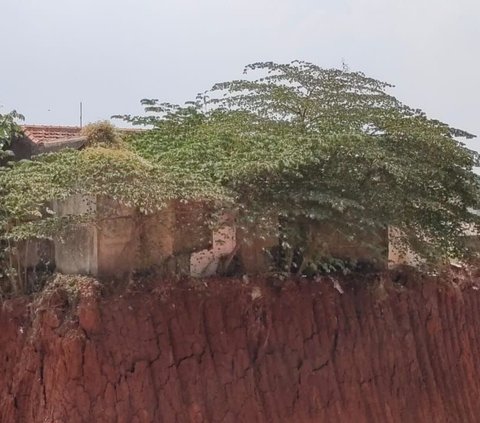 Kepala Badan Pertanahan Nasional (BPN) Kota Depok, Indra Gunawan mengakui ada masalah dengan rumah tersebut sehingga belum dilakukan pembongkaran. Rumah tersebut memang satu-satunya yang belum dibongkar.