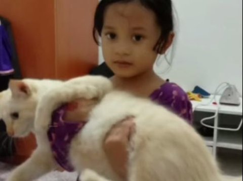 Momen Kakek Ini Kuburkan Kucing Kesayangan Tuai Haru, Terbiasa Bersama